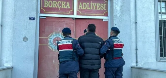 Artvin'de kooperatif başkanı kaçak ağaç kesmekten gözaltına alındı!