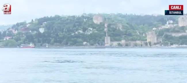 İstanbul'un fethi tarihi nasıl değiştirdi? Fatih’in doğduğu gece neler oldu? - 2