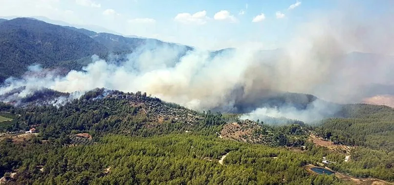 Dalaman ve Göcek'te yanan alanlar 11 Kasım'da ağaçlandırılacak