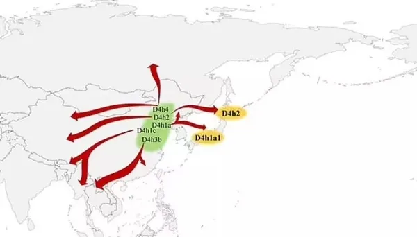 Kayıp parça bulundu! İşte tarihi yeniden yazdıracak o keşif...