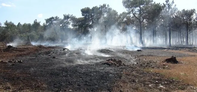 Mersin’de orman yangını! 2 hektarlık alan zarar gördü