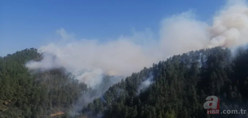 Kahramanmaraş'taki orman yangınının nedeni ortaya çıktı! Torpil şakası 80 hektarı küle döndürdü 11