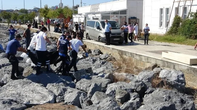 Pendik sahilde esrarengiz ceset! Yürüyüş yapanlar gördü - 4