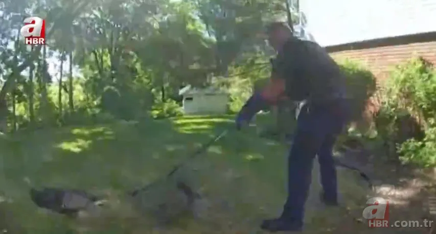 Eve giren firari vahşi hindi ortalığı birbirine kattı! ABD polisinden "özel hindi operasyonu" 18