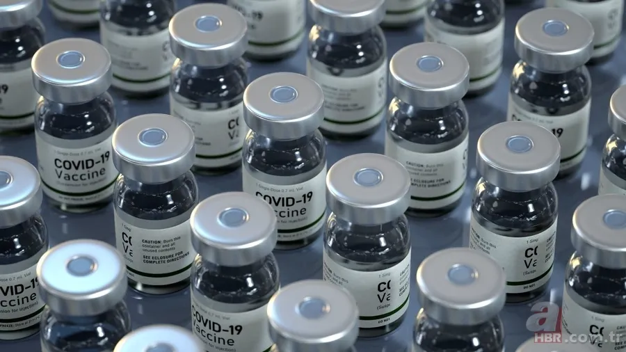 USC araştırması ortaya koydu: Zona aşısı yaşlanma hızını düşürebilir 2