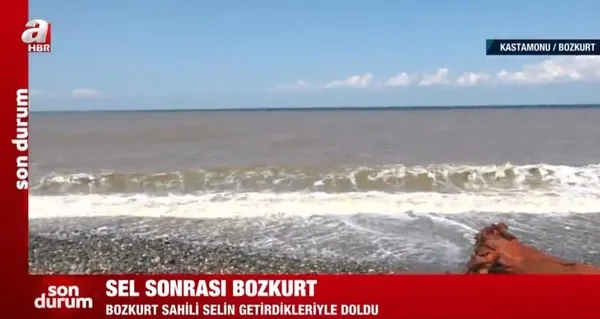 1628946184840.jpeg Sel sonrası Bozkurt! Karadeniz'in rengi değişti - 2