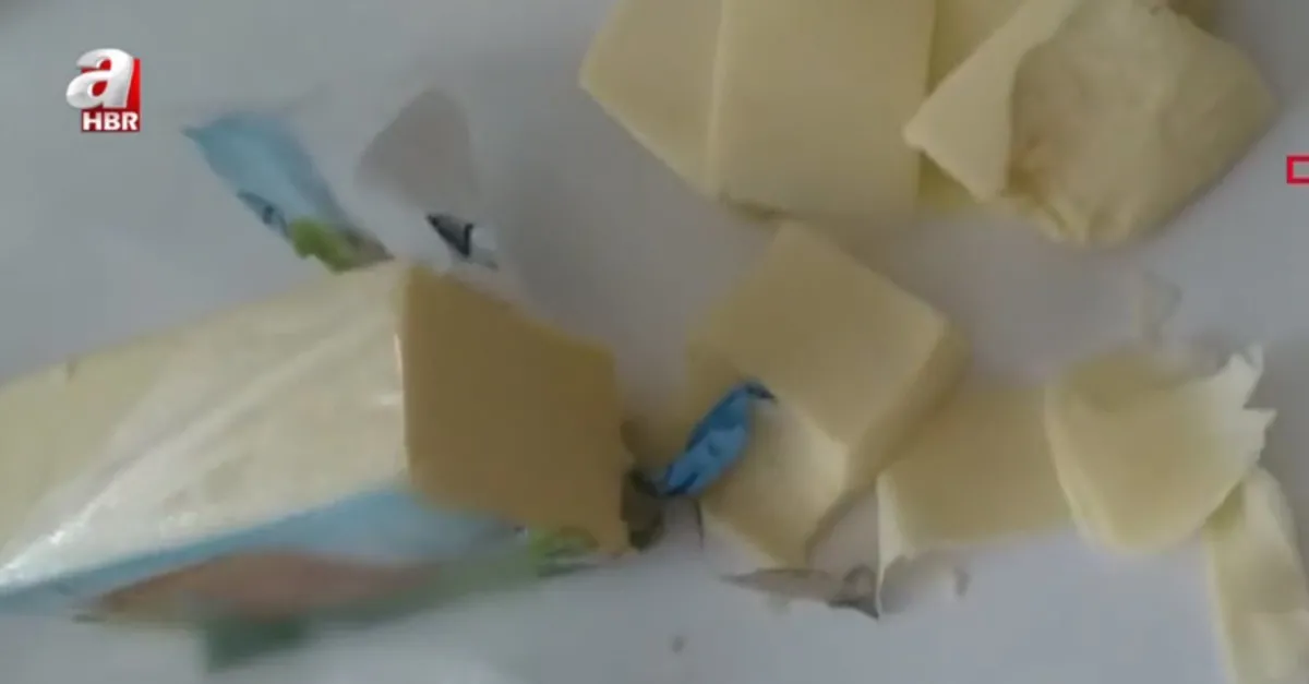 Kaşar peynirin içinden çıkan şoke etti!