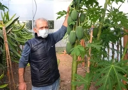 İspanya'ya gidip tadına baktı! Kimsenin aklına gelmeyen reçeli yaptı! Şimdi paraya para demiyor...