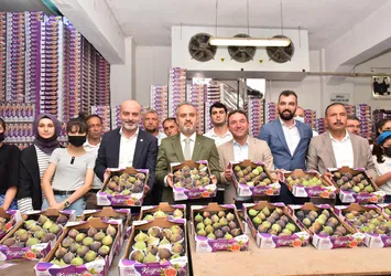 Büyükşehir, üreticiye can suyu oldu