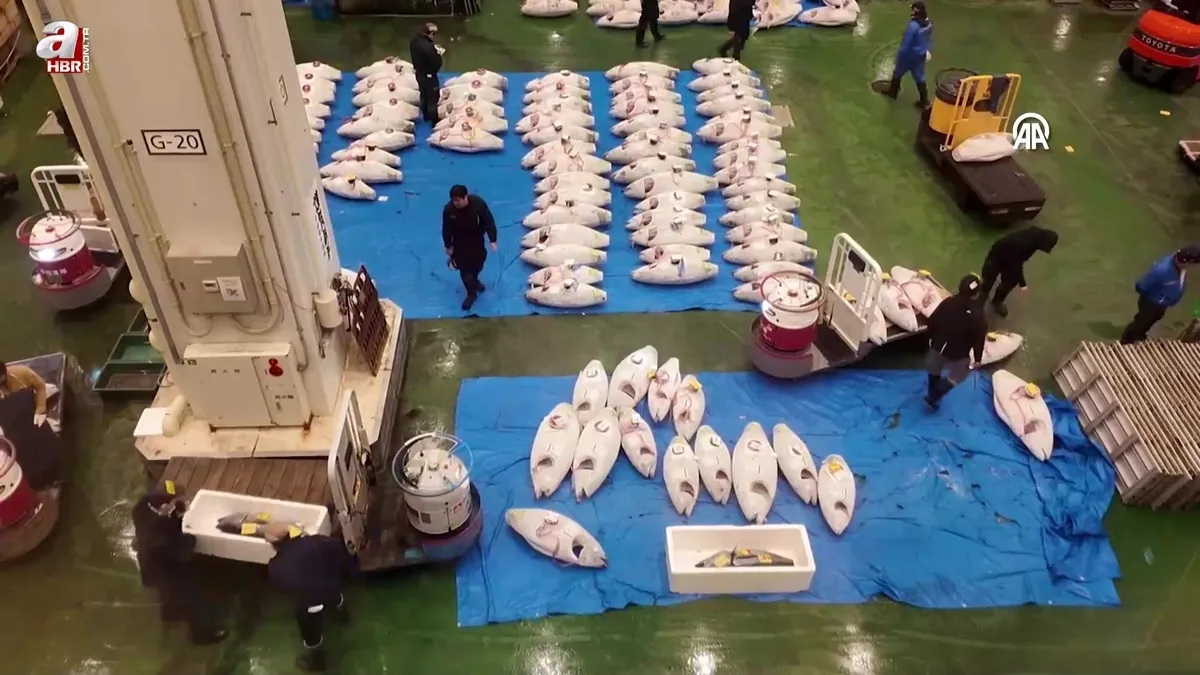 Toyosu balık pazarında yeni yılın ilk orkinos müzayedesi düzenlendi