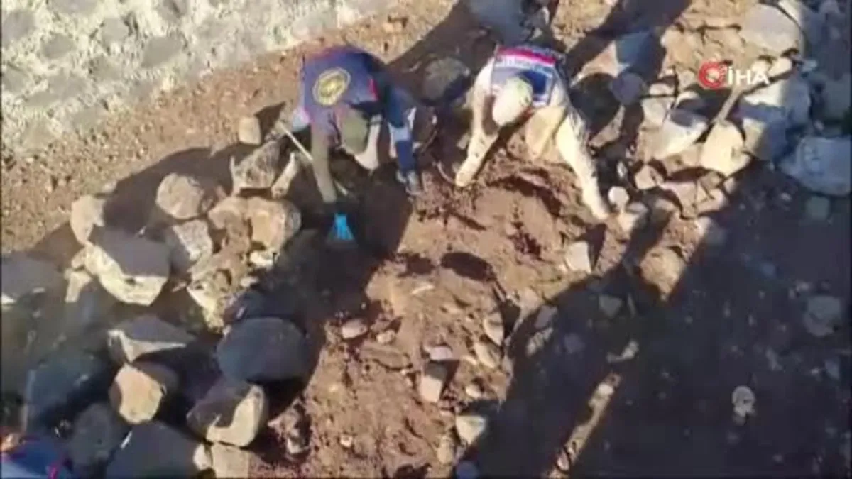 Şanlıurfa’da silah kaçakçılığı operasyonu