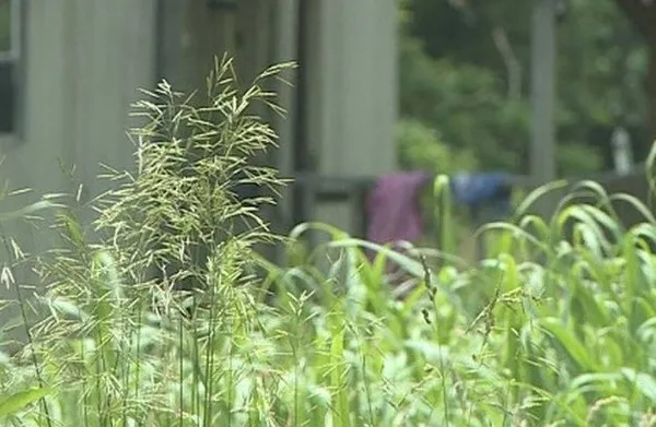 ABD’de vahşet! Komadan 2 yıl sonra uyandı, ilk sözleri şoke etti