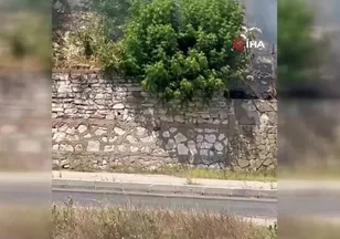 Tekirdağ'da ot yangını paniğe neden oldu