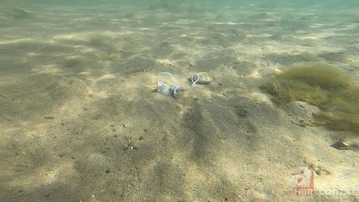 Deniz, maske çöplüğüne döndü! Çevre kirliliğini dalgıçlar görüntüledi