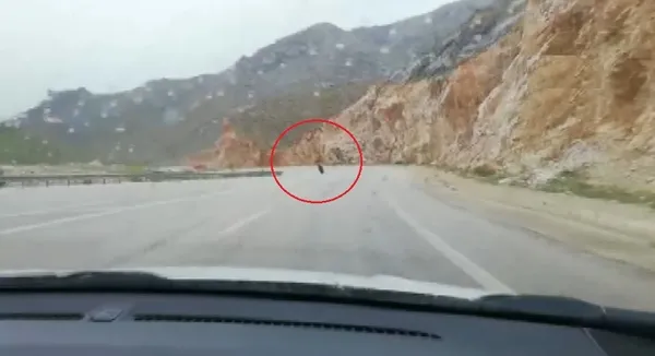 Yağmur nedeniyle kayganlaşan yolda feci kaza! Motosiklet sürücüsü metrelerce sürüklendi - 1