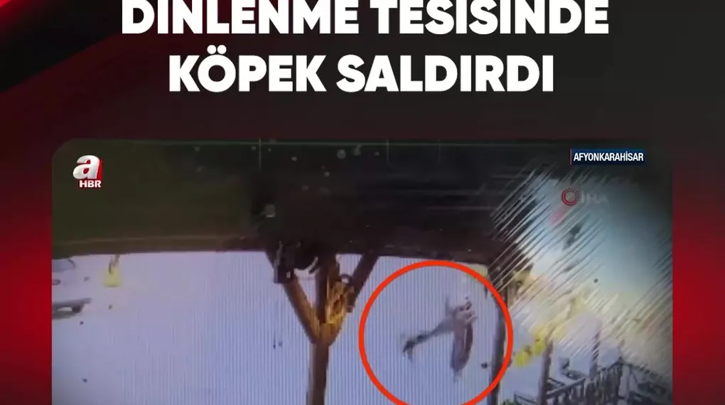 DİNLENME TESİSİNDE KÖPEK SALDIRDI