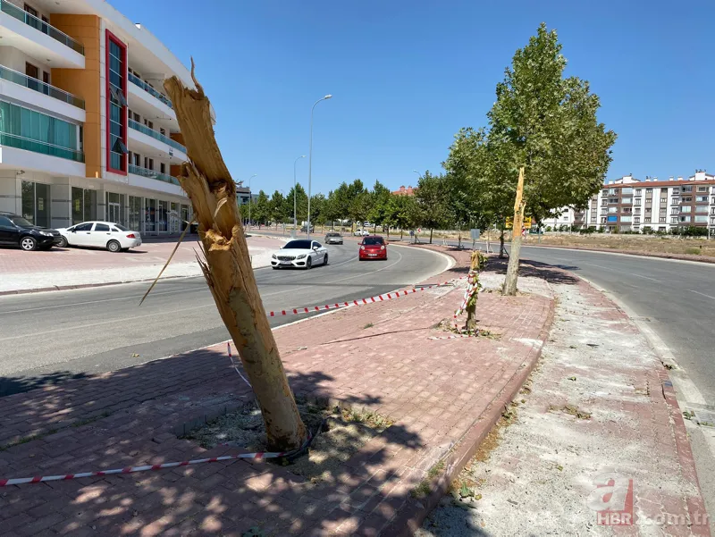 Kazada ölen 3 gençten geriye 2 saat önce paylaştıkları fotoğraf kaldı 11