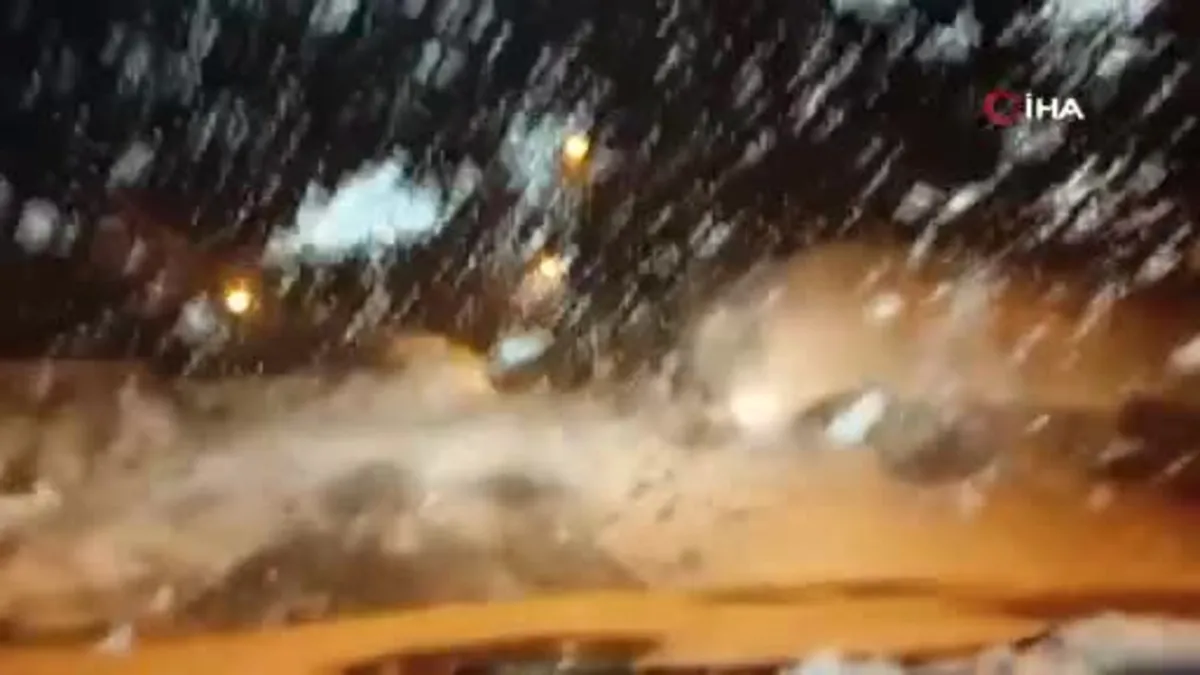 Ardahan'da kar yağışı ve tipi etkili oldu