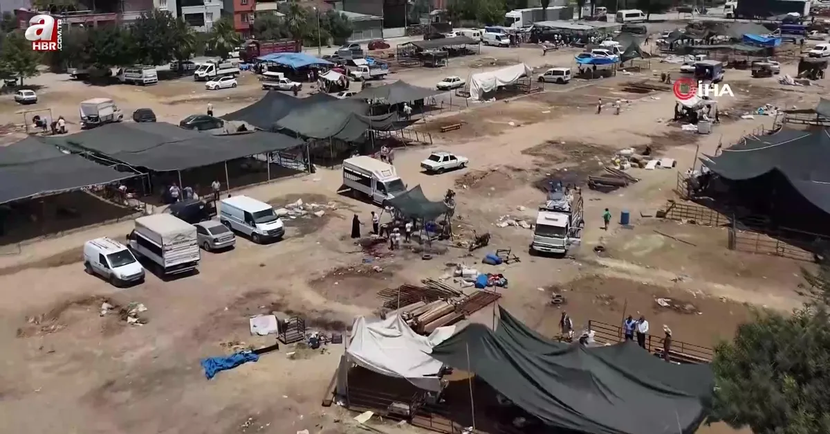 Kurbanlık fiyatları yüzde 40 düştü