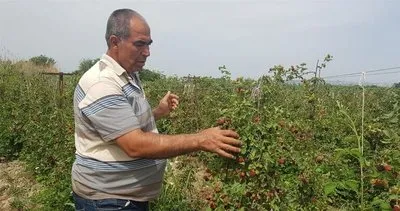 Belgeselden etkilenip o ürünü ekti! Paraya para demiyor! Şimdilerde ise...