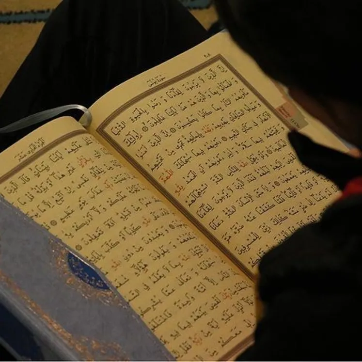 Müslümanlıkta iki merkez: Kur'an-ı Kerim ve Nübüvvet! Kutsal kitabımızla ilişkimiz nasıl olmalı?