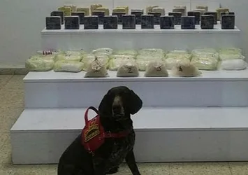 Van'da 33 kilogram uyuşturucu ele geçirildi