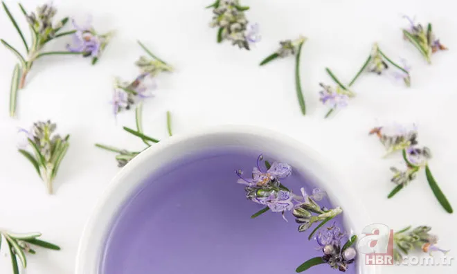 Adaçayı... Ihlamur... Kuşburnu... Hepsi doğal şifa deposu! Hangi bitki çayı neye iyi geliyor? İşte yanıtı... 17