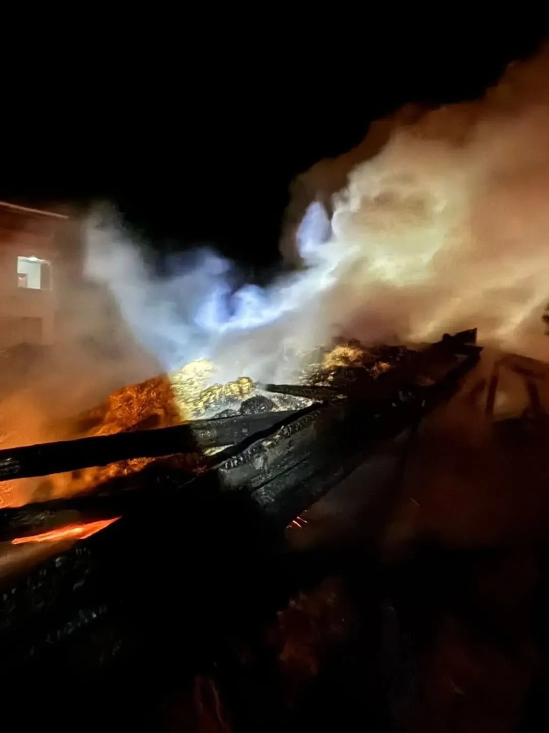 Sinop'ta samanlık yangını