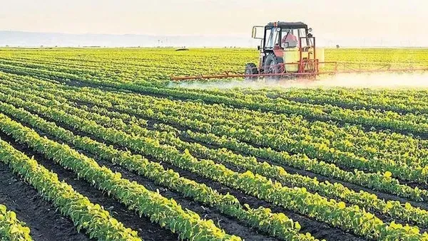 Markette kademeli indirim! Tedarik ve lojistik sürecinde sıkıntı yok - 5