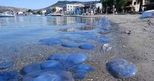 CHP’li Soyer bir kez daha sınıfta kaldı