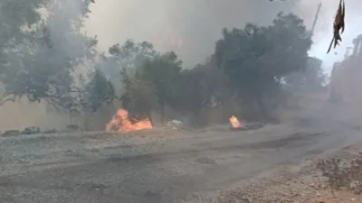 Muğla Milas’ta orman yangını çıktı!