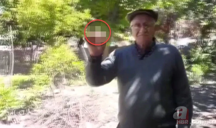 Kümese girdi başına talih kuşu kondu! Tavuğu servet yumurtladı 13