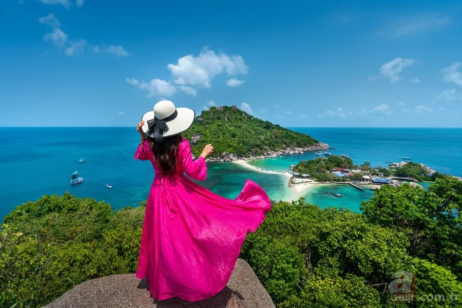 Türkiye 7 basamak yükseldi: Dünyanın en güçlü pasaportları açıklandı! Schengen, turistik, transit... 4