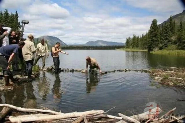 Bear Grylls İnanılmaz Kurtuluş programında herkesi böyle kandırdı! Ayı kostümü giymiş bir insan 24