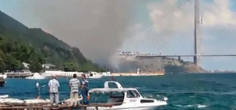 3. Köprü yakınlarında orman yangını