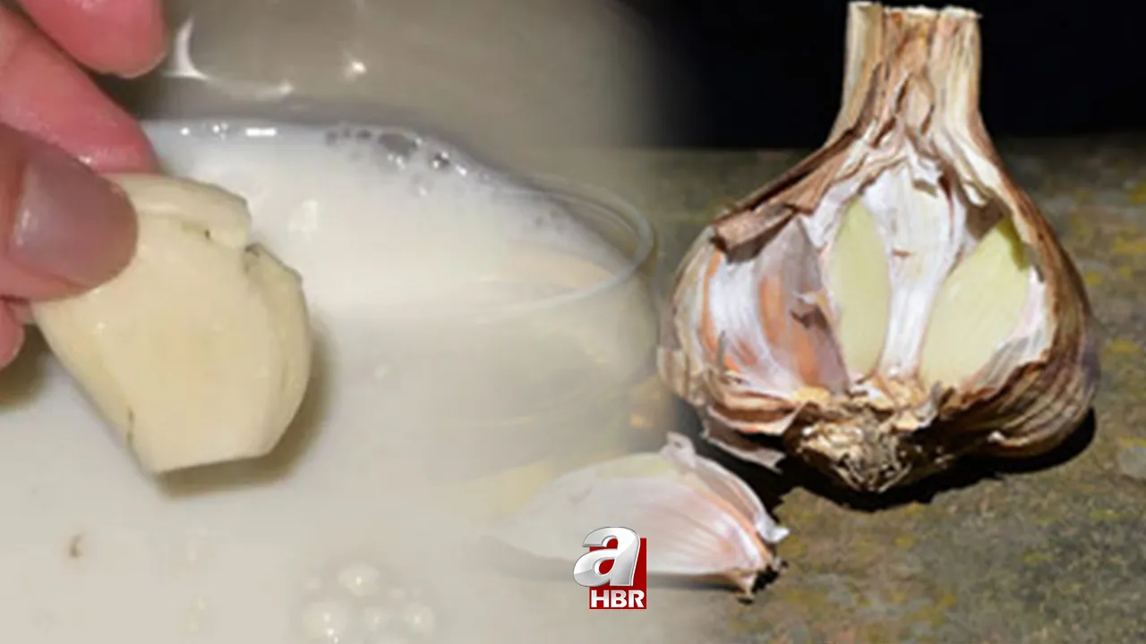 Sarımsak ve sütün inanılmaz faydaları! Bu ikisini birlikte tüketirseniz...