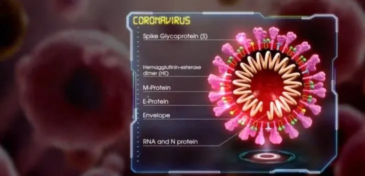 Koronavirüs Covid-19 ne zaman bitecek? Prof. Dr. Servet Kayhan tarih verdi...