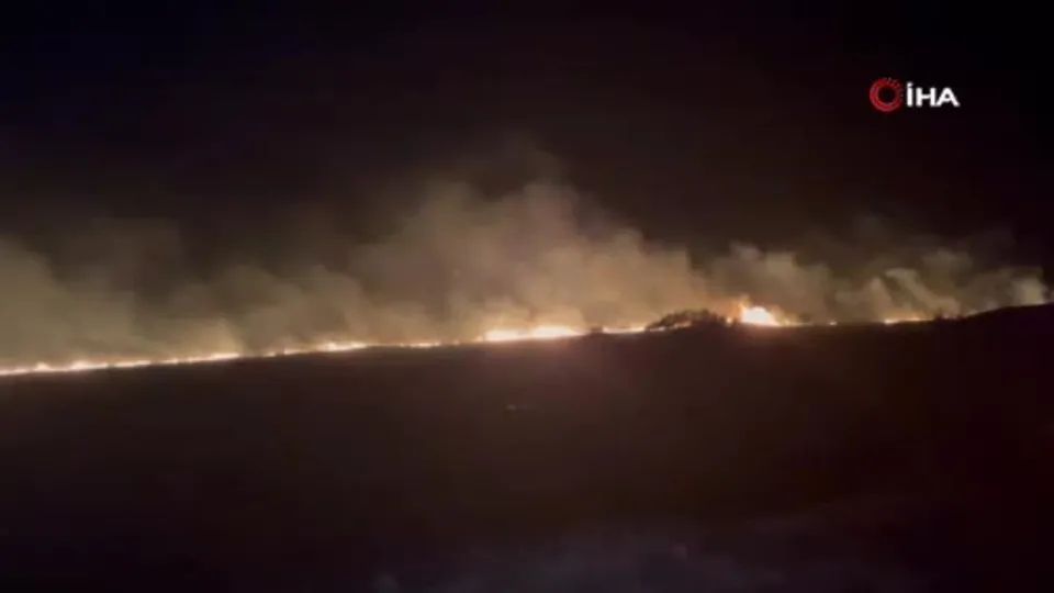 Manisa’da ağaçlık alanda yangın