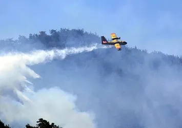 Antalya'da orman yangını