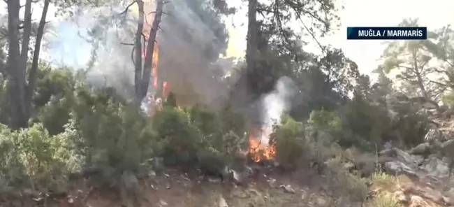 Kızıl Çam ormanları kül oluyor! A Haber’de tüm Türkiye mesaj: Ormanlarımıza sahip çıkalım