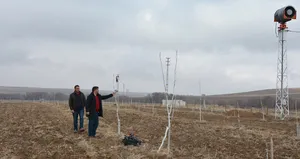 Ceviz üreticisi öyle bir makine yaptı ki...