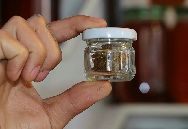Türkiye’de koronavirüse rastlanmasının ardından propolis satışları yükseldi - 2