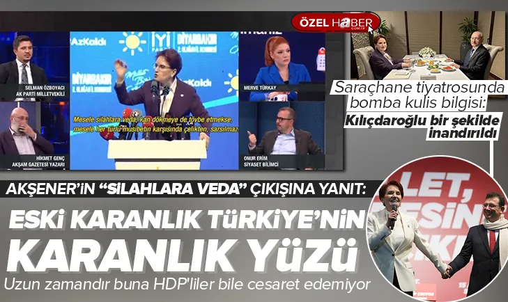 Meral Akşenere silahlara veda yanıtı