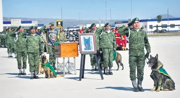 turk-halkinin-dayanismasi-dunyaya-ornek-yabanci-arama-kurtarma-ekipleri-hayran-kaldi-1676701654419.jpeg Türk halkının dayanışması dünyaya örnek! Yabancı arama kurtarma ekipleri hayran kaldı - 4