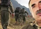 PKK’da panik büyüyor! Teröristler ’firar hakkı’ istemiş