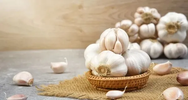 Sarımsağı yıllarca yanlış tüketmişiz! Böyle yapılırsa hiçbir vitamini kalmıyor...