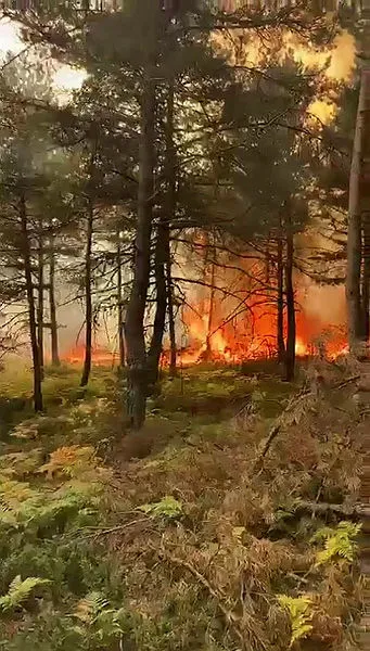tokatin-resadiye-ilcesinde-orman-yangini-vali-ve-belediye-baskanindan-aciklama-geldi-1662901799572.jpg Tokat'ın Reşadiye ilçesinde orman yangını! Vali ve belediye başkanından açıklama geldi - 1