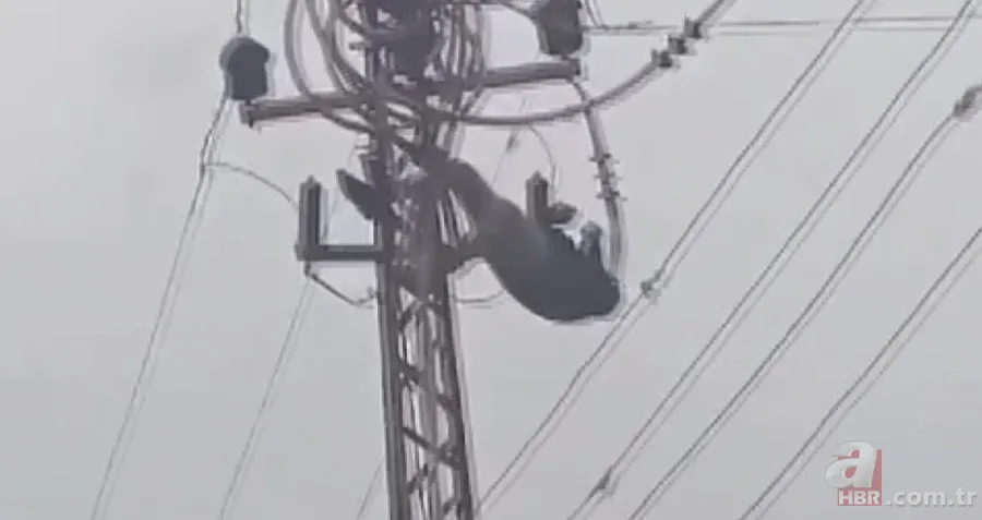 Elektrik direğine çıktı! Saniyeler sonra dehşeti böyle yaşadı 6