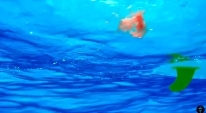 Sosyal medyayı sallayan köpek balığı deneyi yürekleri ağızlara getirdi! Okyanusa kan döküp bekledi ve...