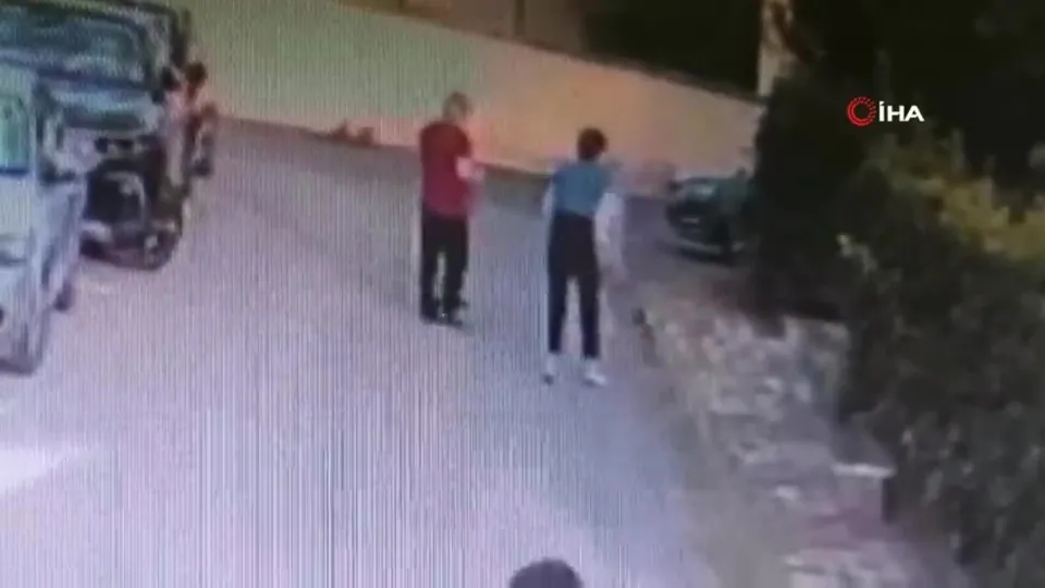 Kangal köpeği başka bir köpeği parçaladı! Sahibi kalp krizi geçirdi